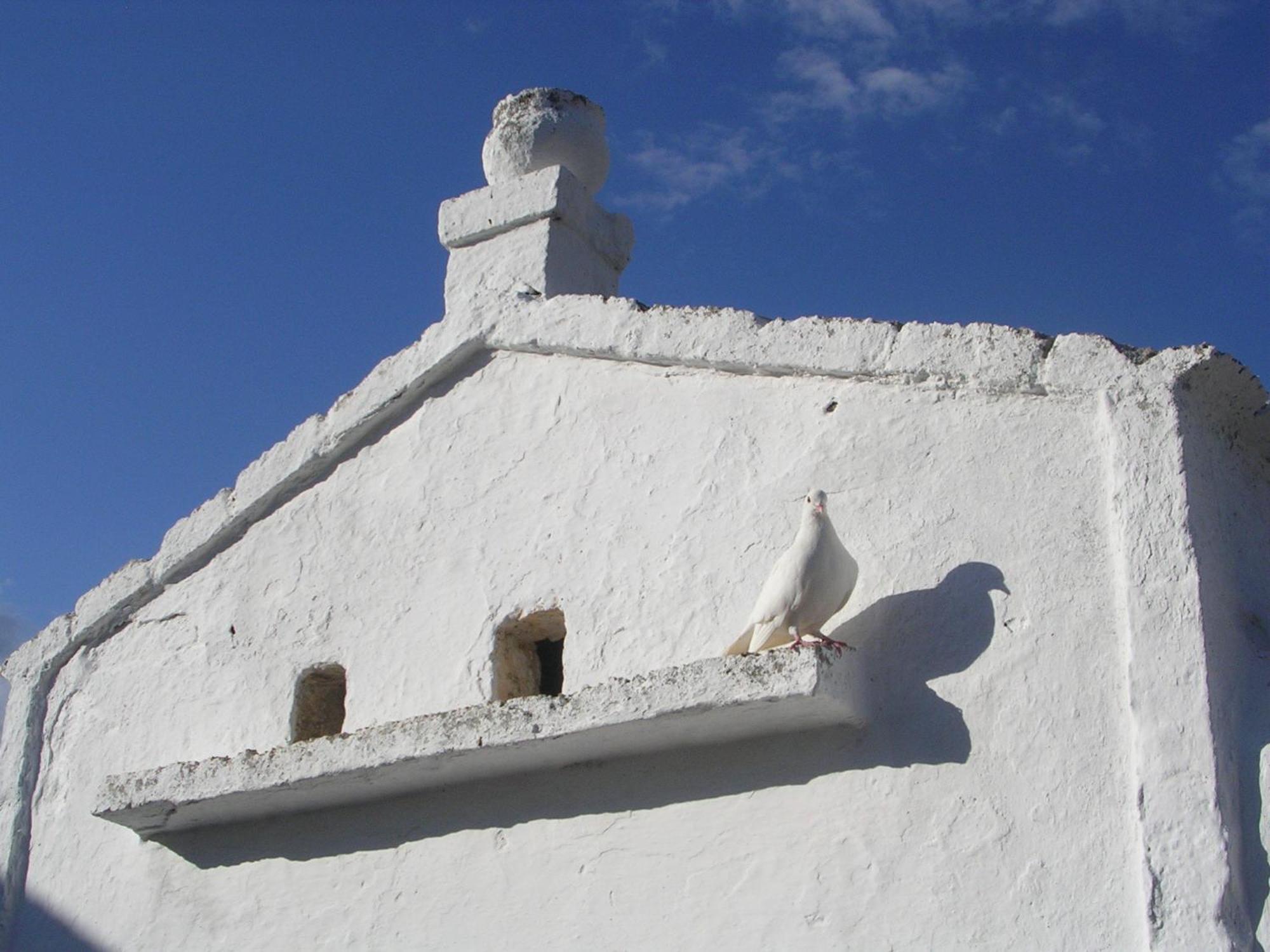 Masseria Purgatorio Fasano Eksteriør bilde