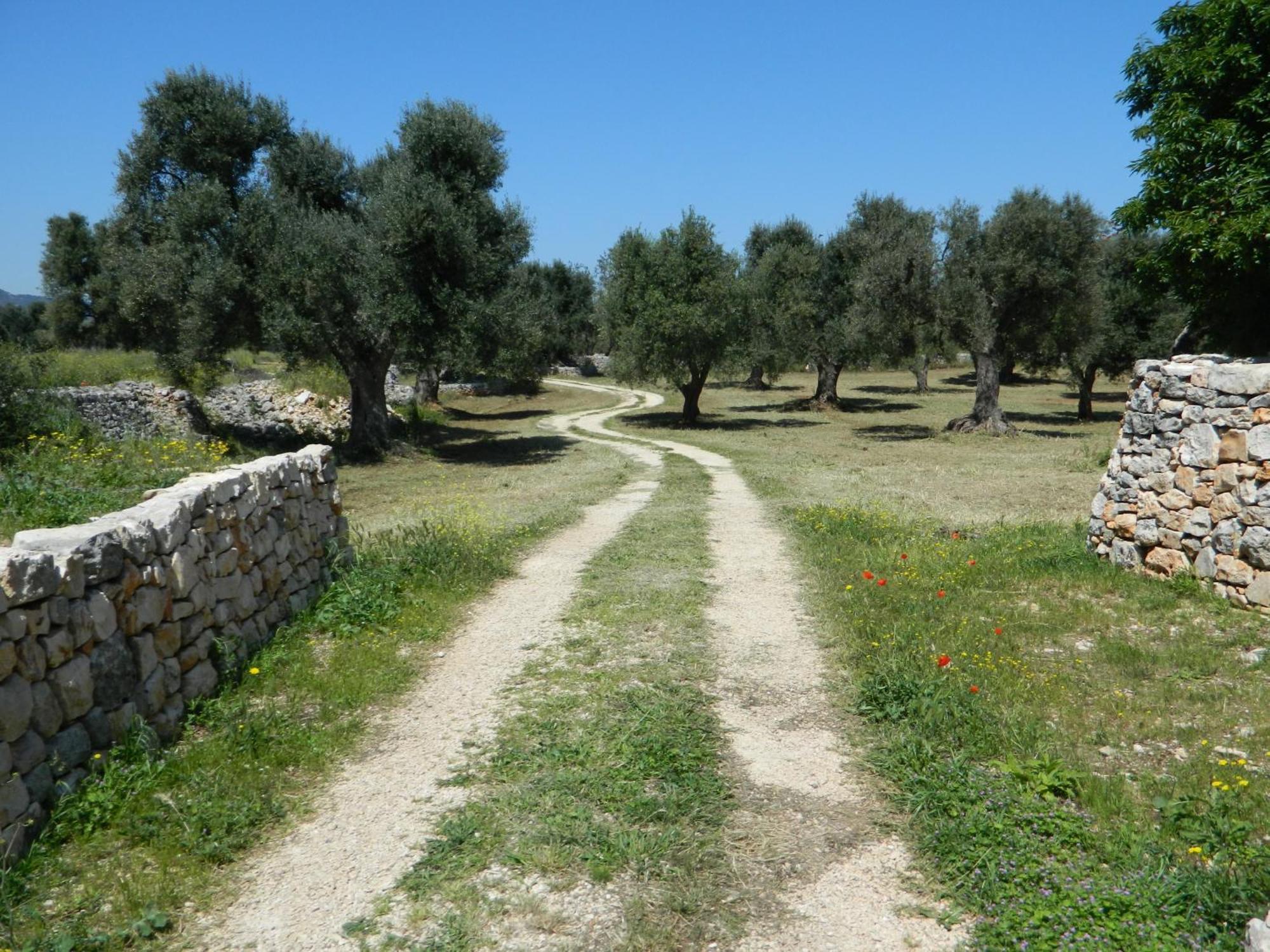 Masseria Purgatorio Fasano Eksteriør bilde
