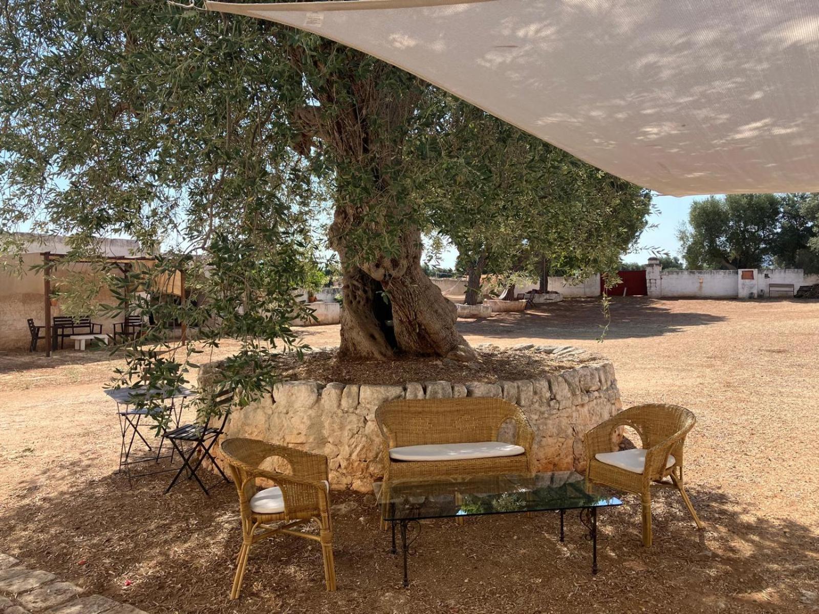 Masseria Purgatorio Fasano Eksteriør bilde
