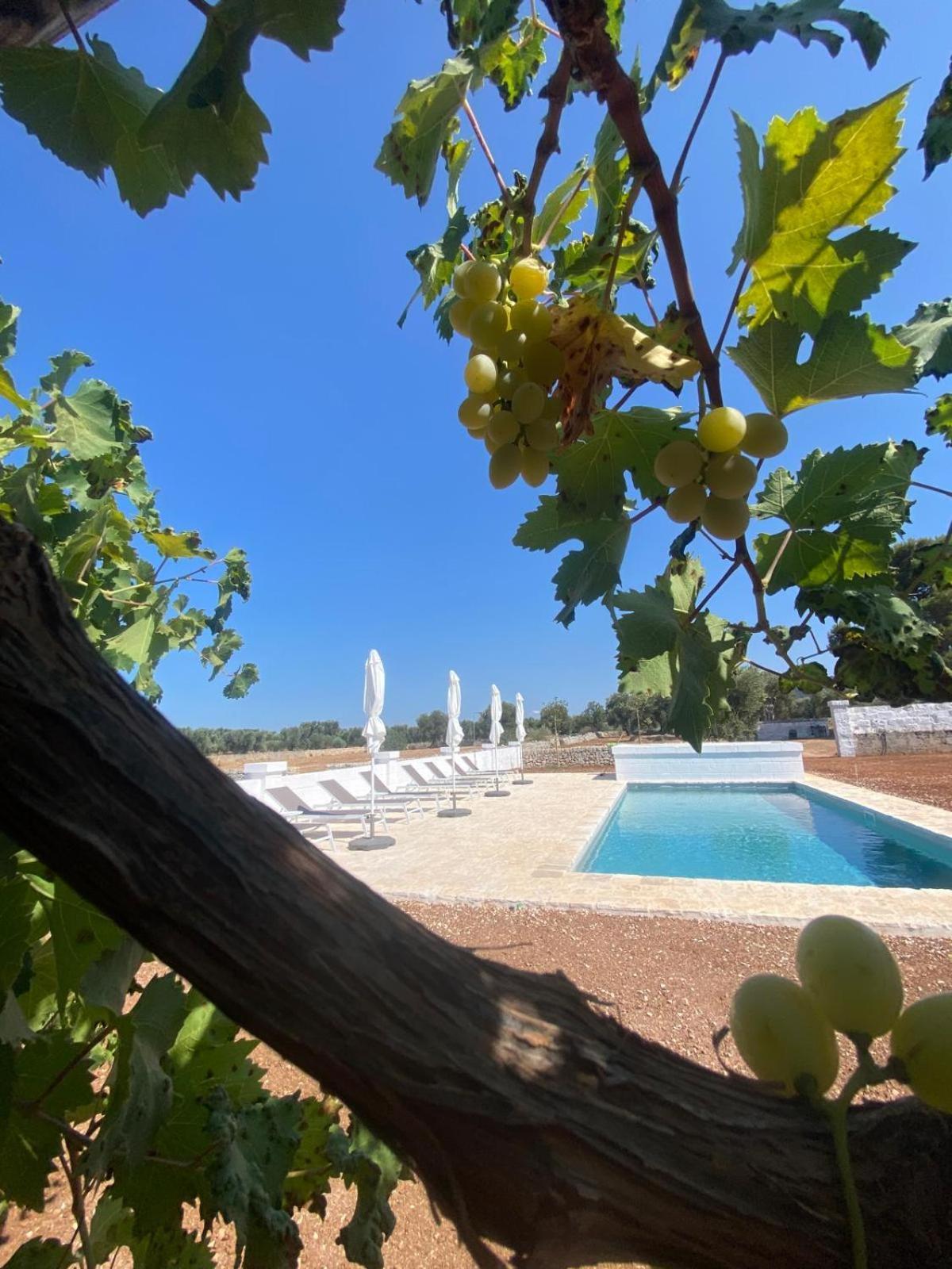 Masseria Purgatorio Fasano Eksteriør bilde